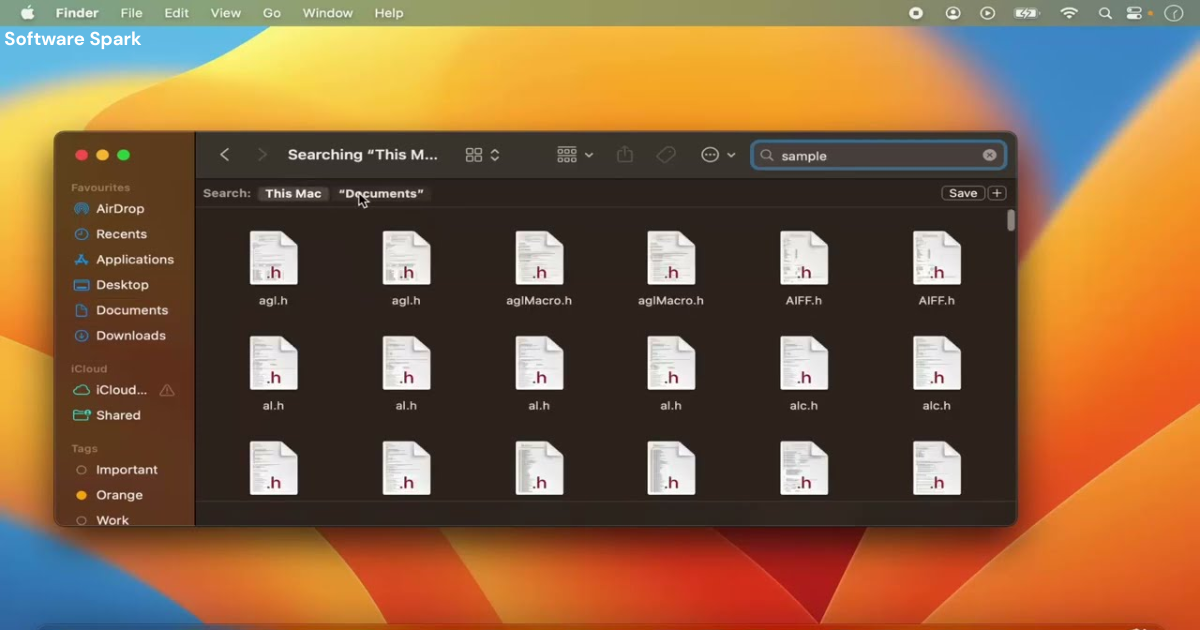 Find File Professional –  File Search and Management Tool for Windows